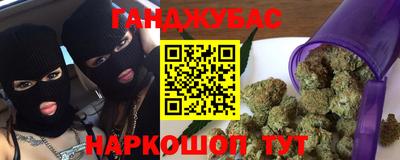 прущие грибы Усть-Джегута