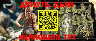 прущие грибы Усть-Джегута
