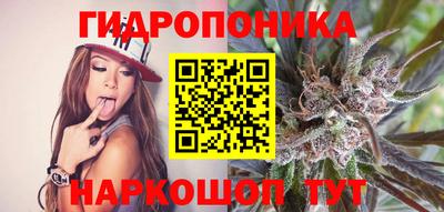 прущие грибы Усть-Джегута