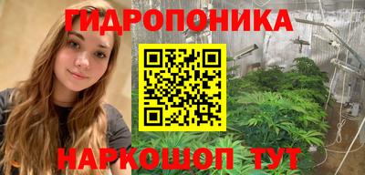 прущие грибы Усть-Джегута