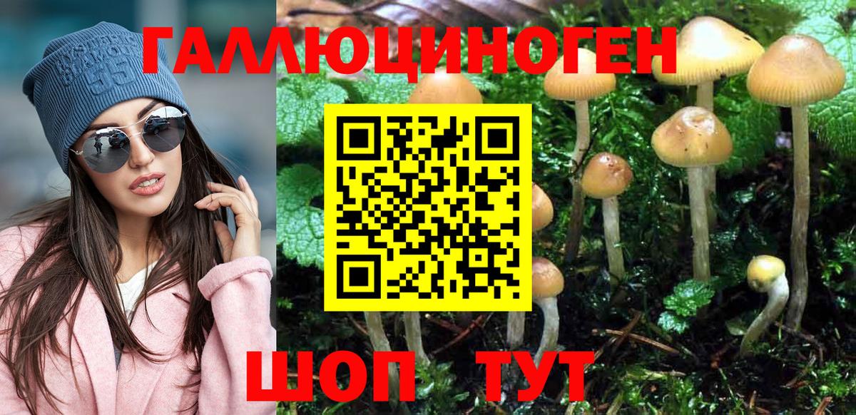 Галлюциногенные грибы Cubensis Клинцы
